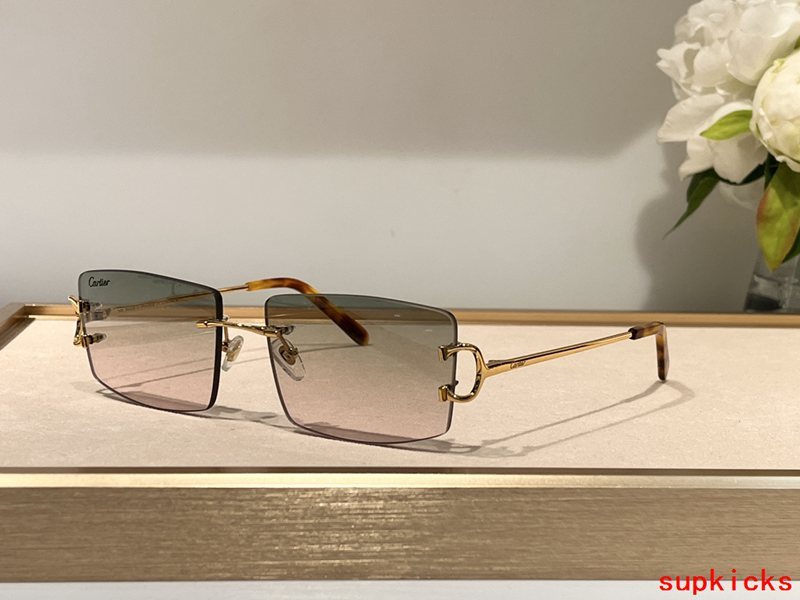 Cartier Luxury Sunglasses