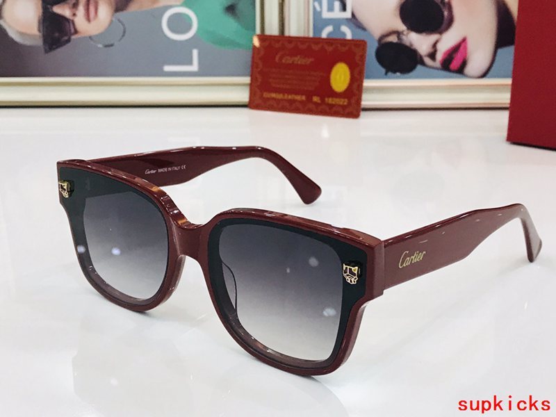 Cartier Luxury Sunglasses