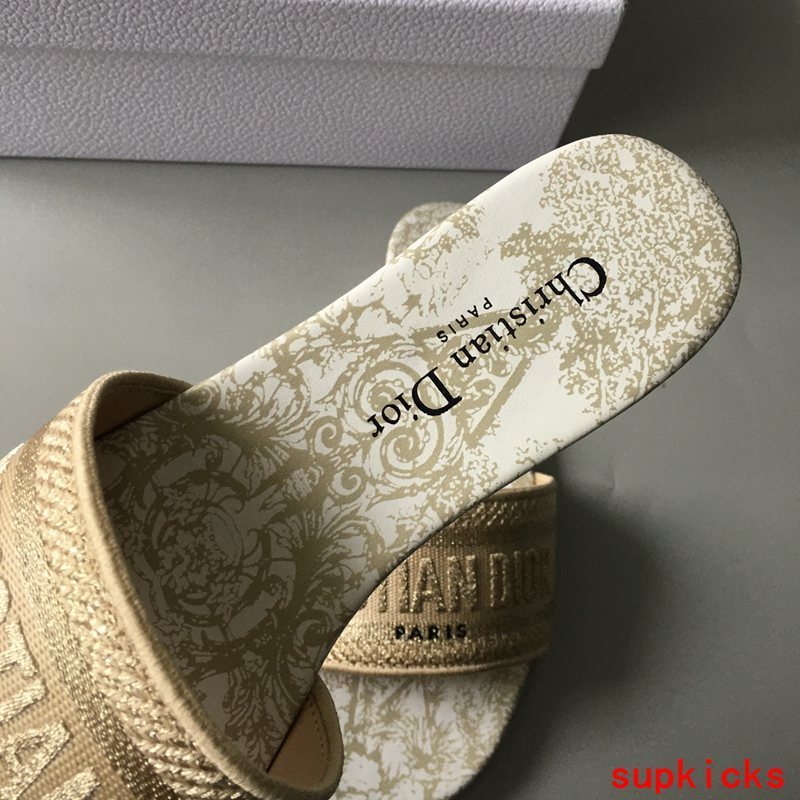 Dior Luxury Shoes