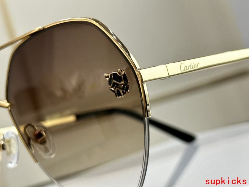 Cartier Luxury Sunglasses