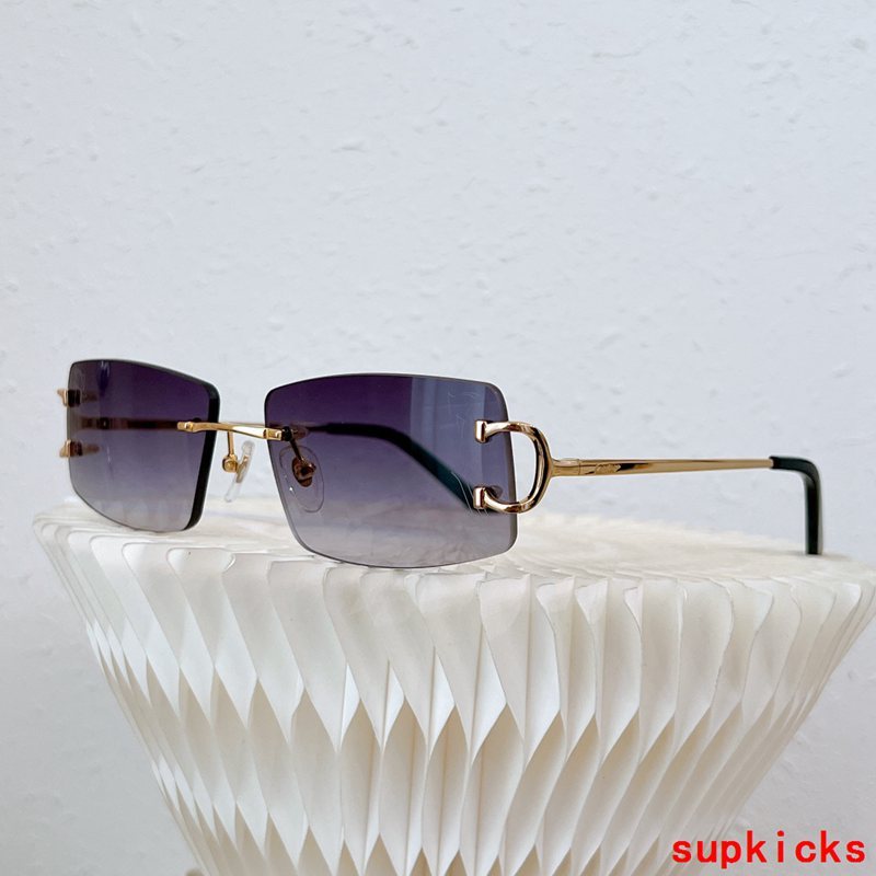 Cartier Luxury Sunglasses