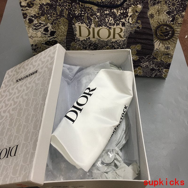 Dior Luxury Shoes