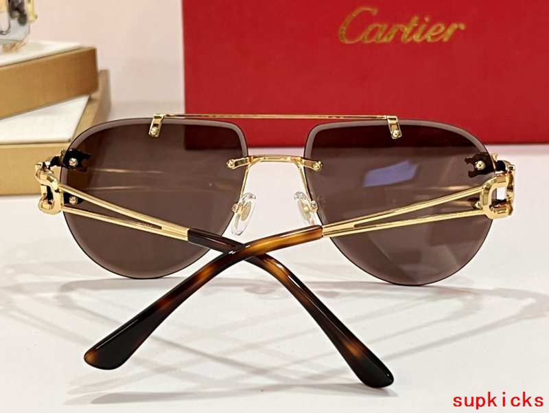 Cartier Luxury Sunglasses