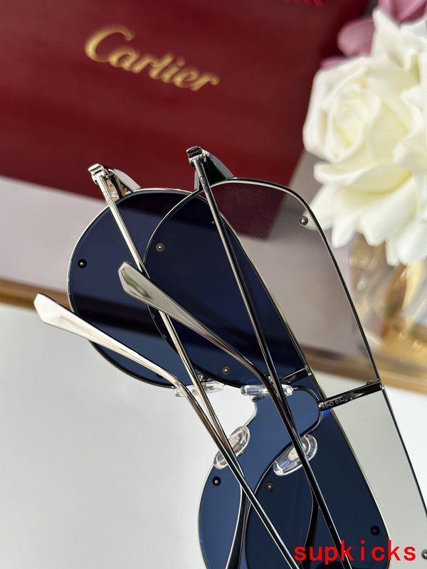 Cartier Luxury Sunglasses