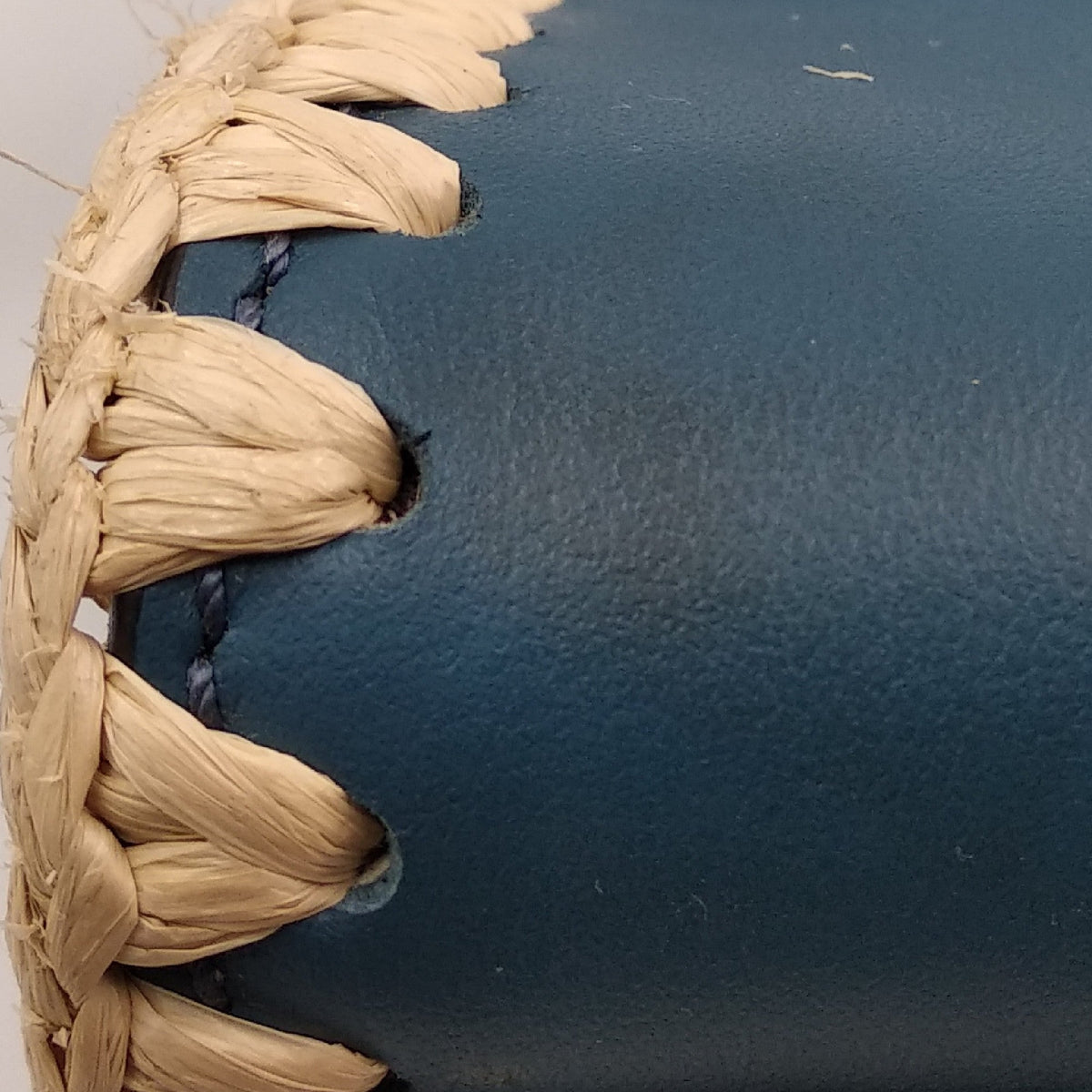 Small Snakeskin-Trimmed Runaway Blue