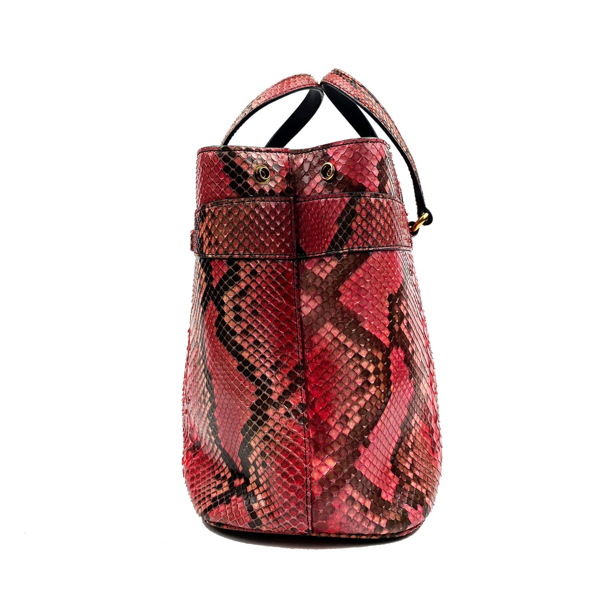 Gucci Begonia Pink Python Bag