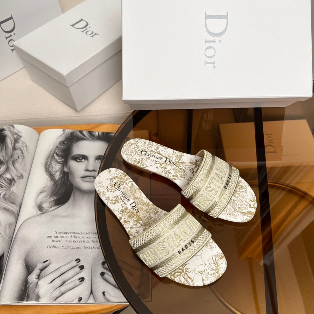 CD DWAY SLIDES