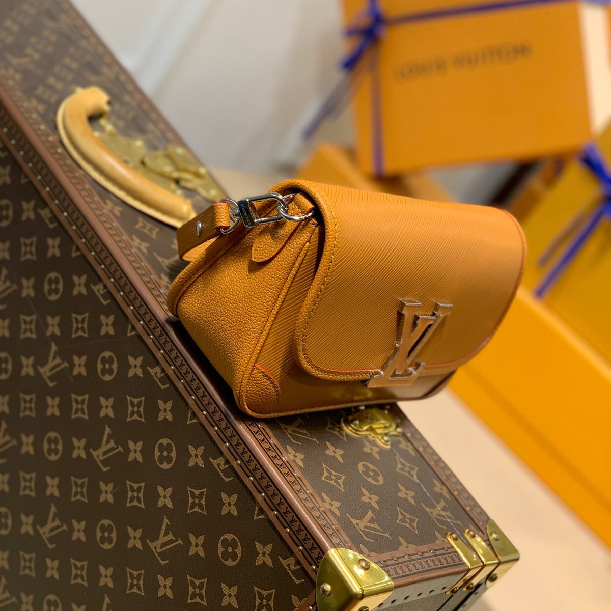 LOU BUCI BAG