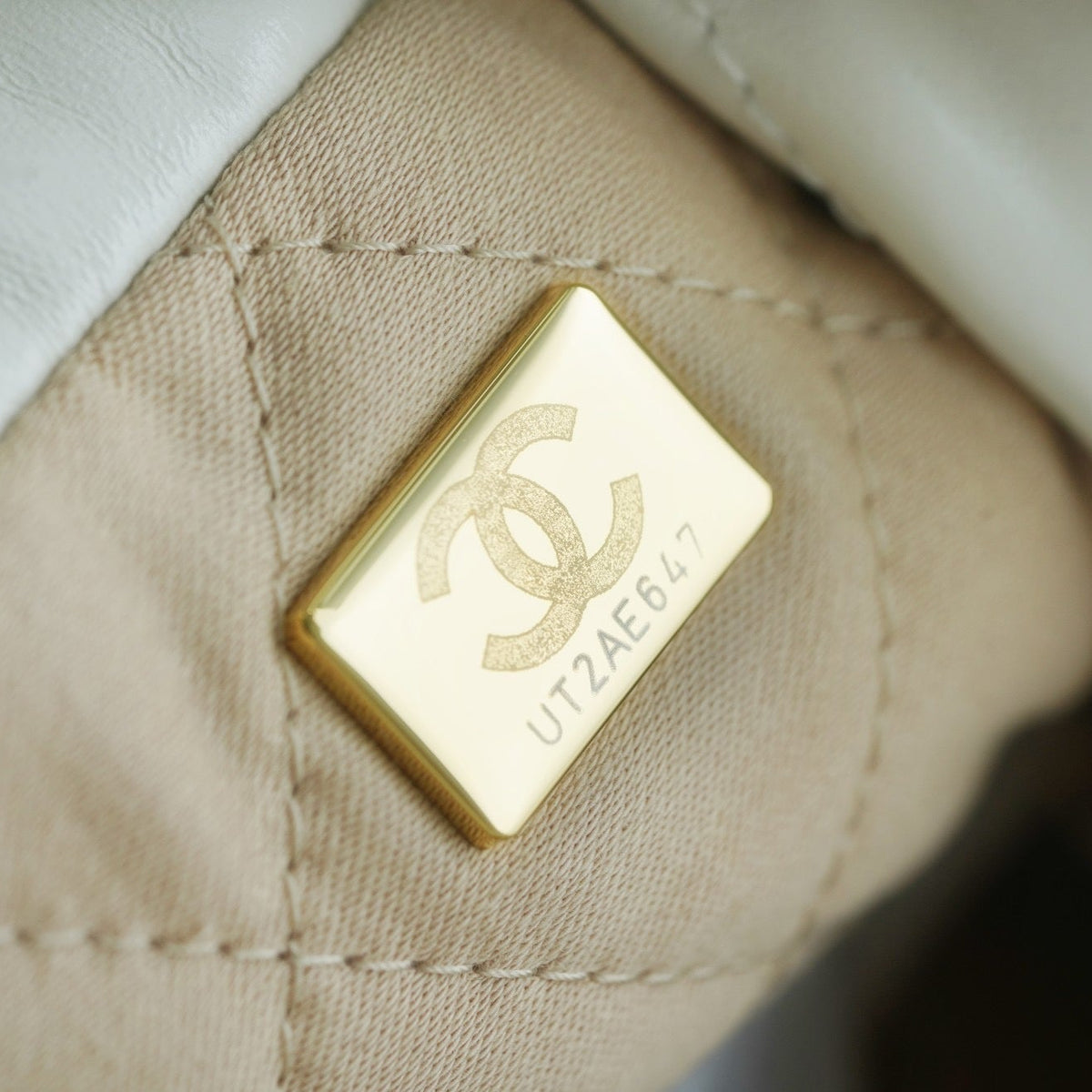 CC 22 BAG