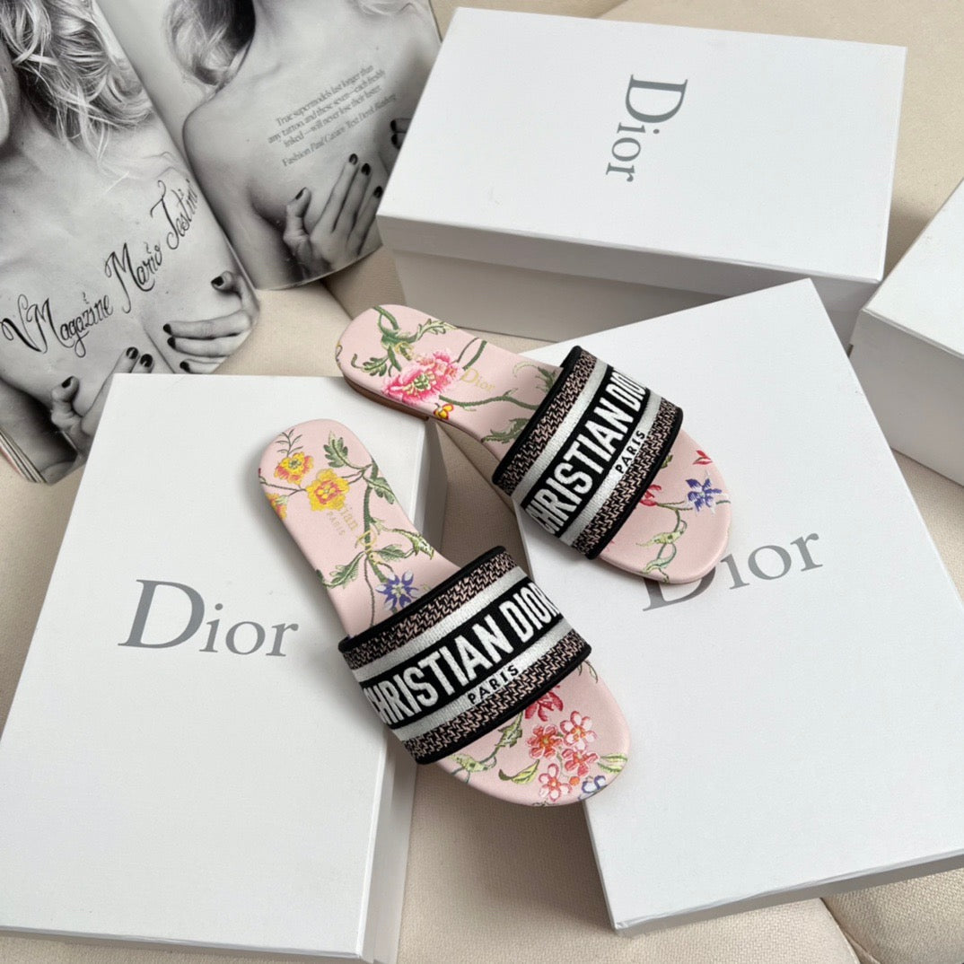 CD DWAY SLIDES