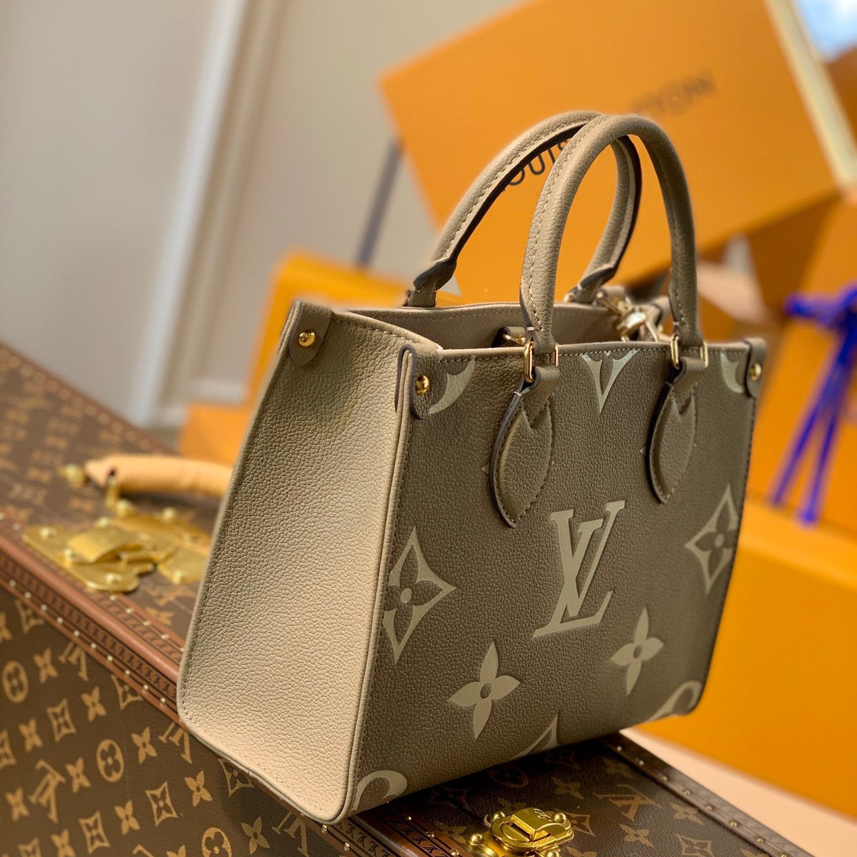 LOU ONTHEGO PM TOTE BAG