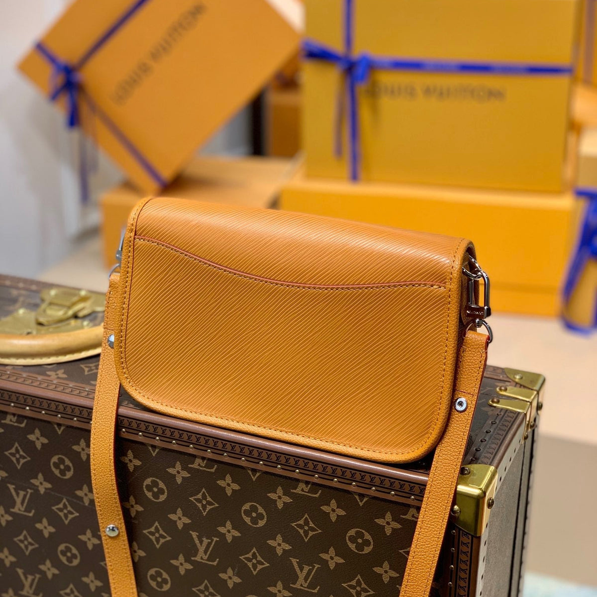 LOU BUCI BAG