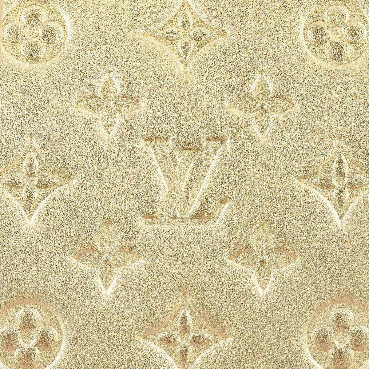 Louis Vuitton Coussin PM Gold