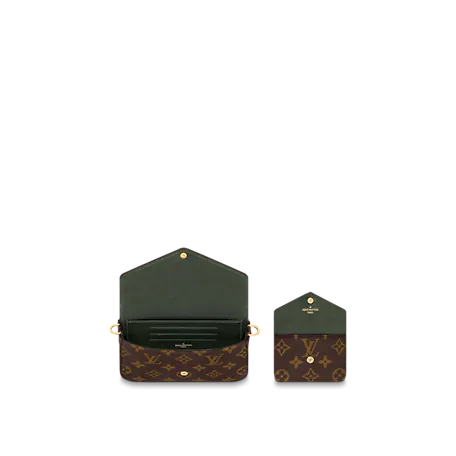 Louis Vuitton Félicie Strap & Go Monogram In Brown
