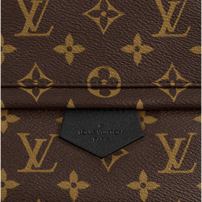 Louis Vuitton Palm Springs MM Monogram Canvas