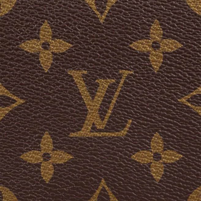 Louis Vuitton SPEEDY 35