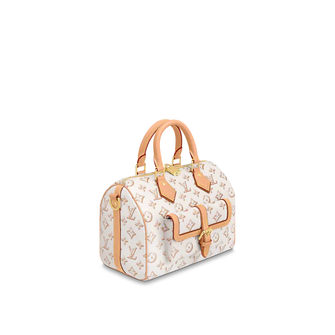 Louis Vuitton Speedy BANDOULIÈRE 25
