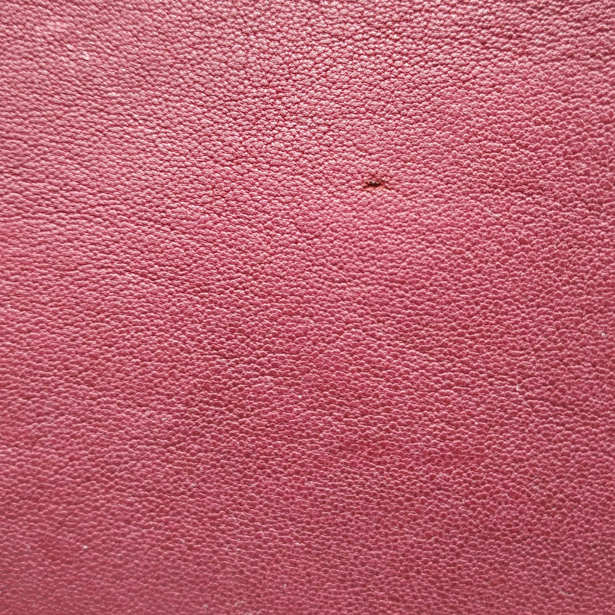 Large Cabas Chyc Tote Red